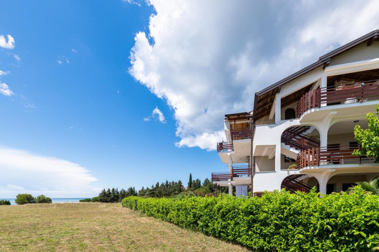 Apartman Petelin Novigrad  Zewnętrze zdjęcie