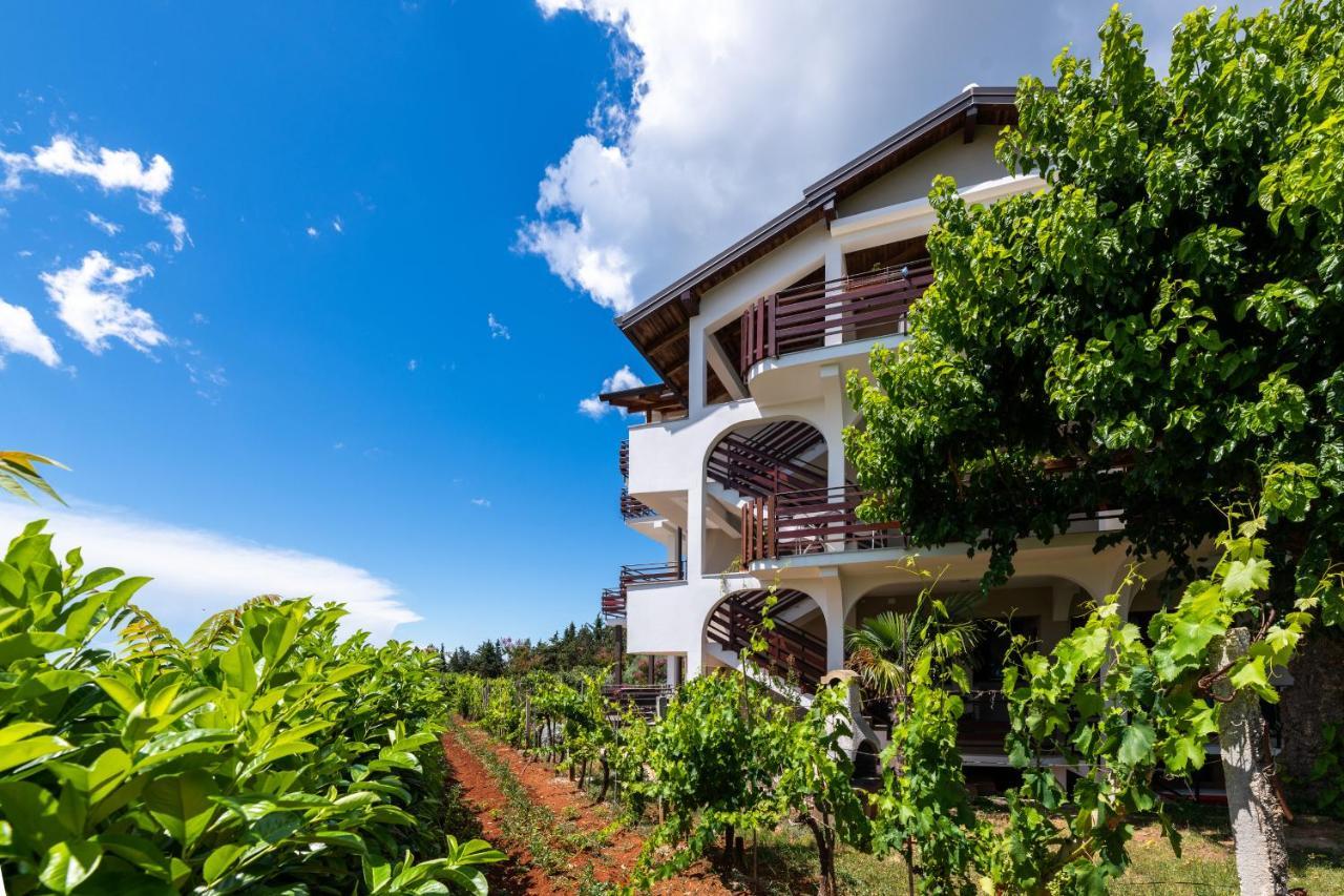 Apartman Petelin Novigrad  Zewnętrze zdjęcie