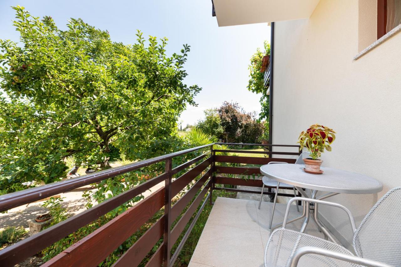 Apartman Petelin Novigrad  Zewnętrze zdjęcie