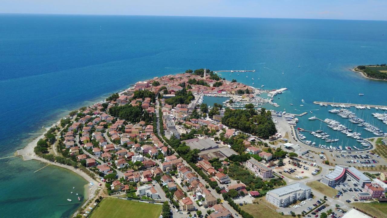 Apartman Petelin Novigrad  Zewnętrze zdjęcie